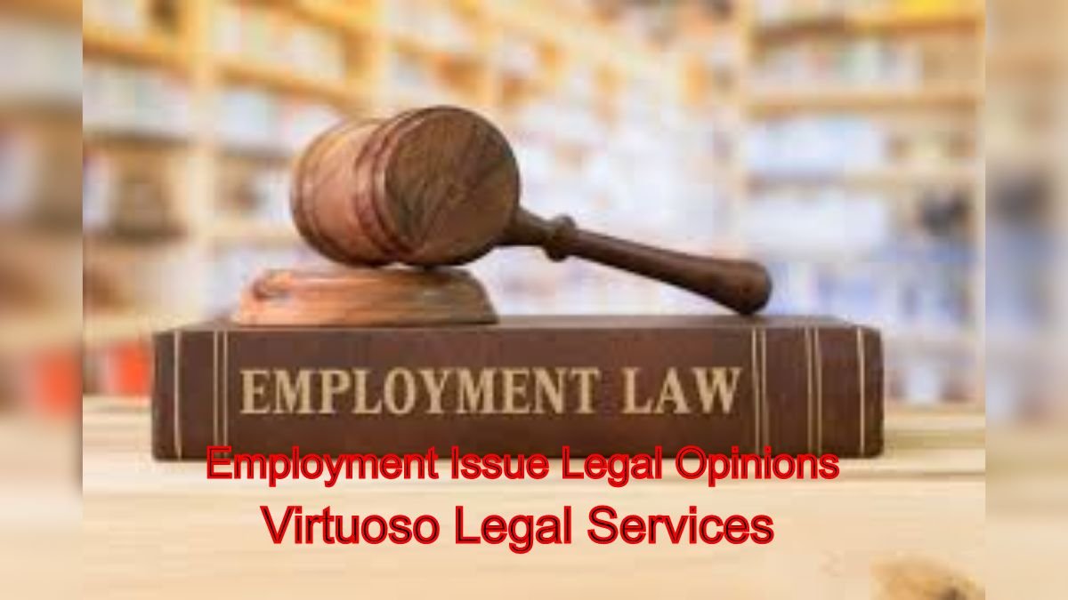 Navigate Complexities: Employment Issue Legal Opinions