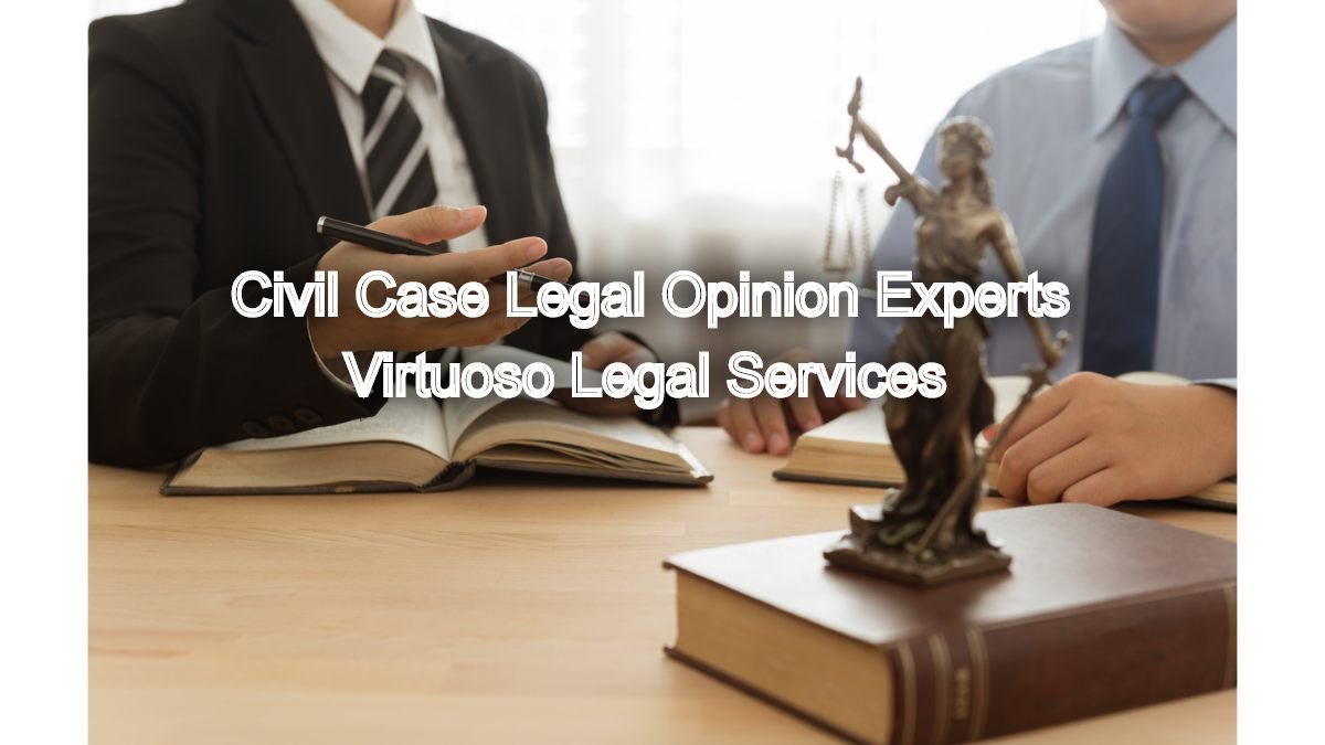 Justice for All: Civil Case Legal Opinion Experts